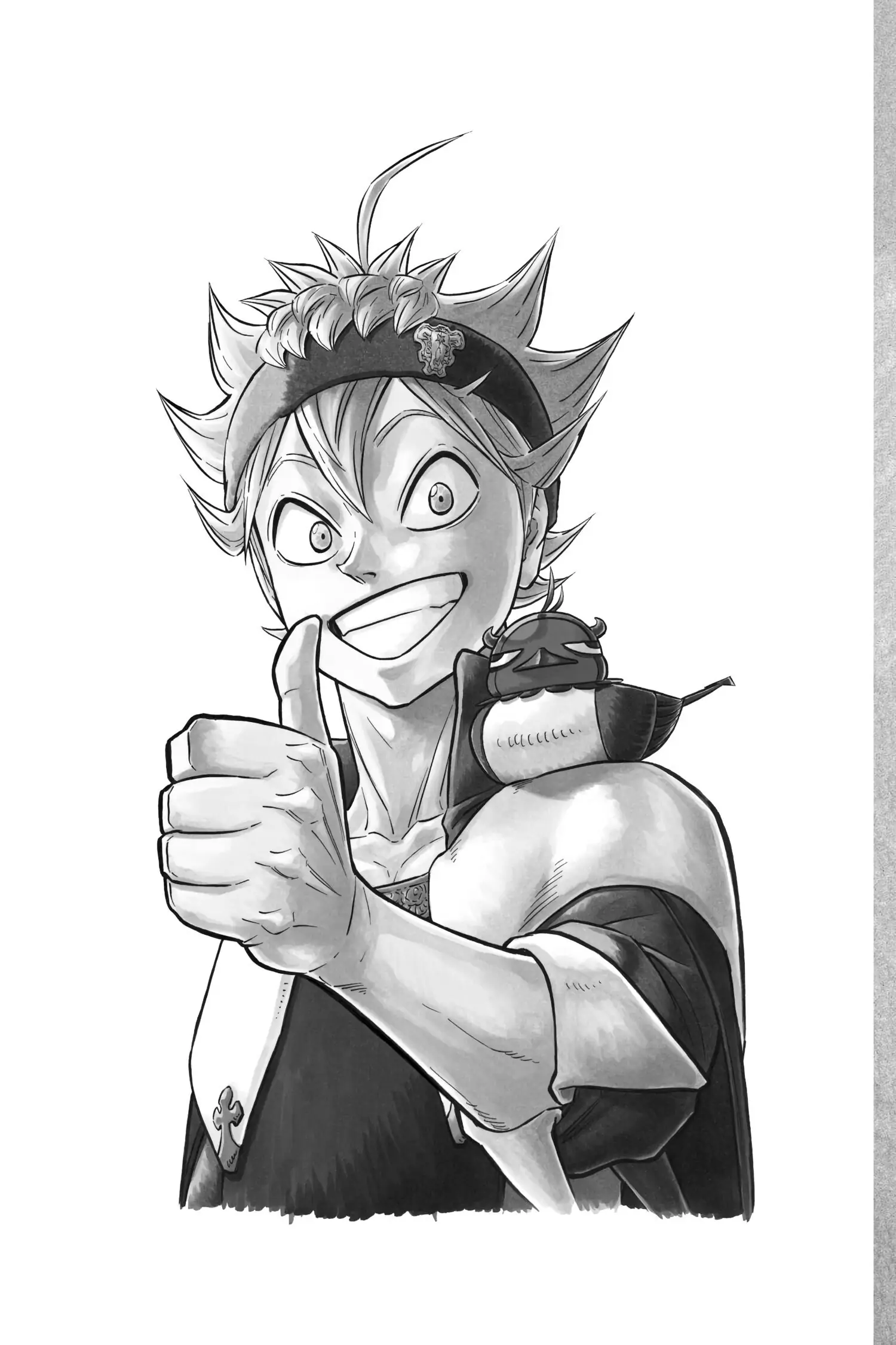 6582429 1500 2250 111966